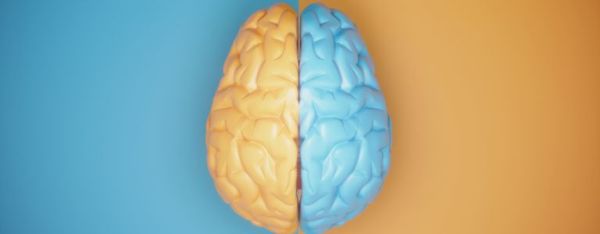 Qu'est-ce que la pensée du cerveau gauche et du cerveau droit ?
