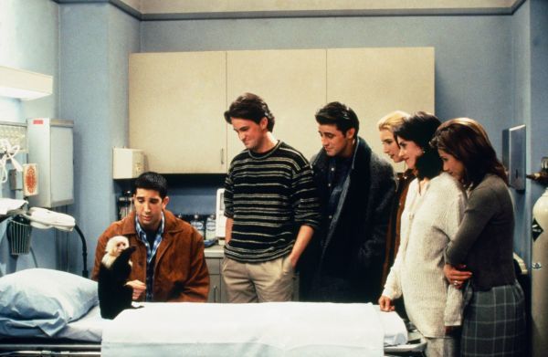 Na foto: (esquerda) Katie/Macaco como Marcel, David Schwimmer como Ross Geller, Matthew Perry como Chandler Bing, Matt LeBlanc como Joey Tribbiani, Lisa Kudrow como Phoebe Buffay, Courteney Cox como Monica Geller, Jennifer Aniston como Rachel Green