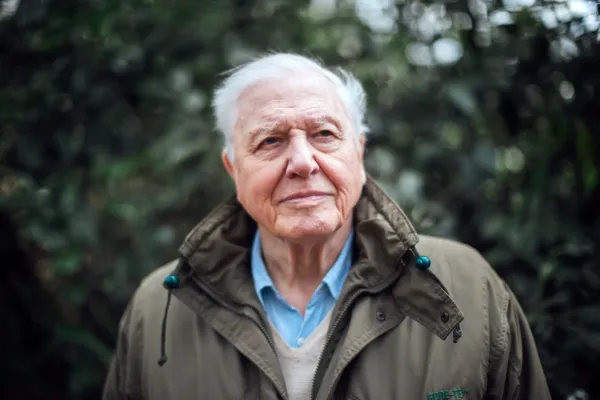 Sir David Attenborough vestindo um casaco verde e olhando para longe.