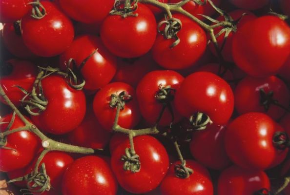 Les tomates sont un excellent choix pour la mise en conserve au bain-marie.