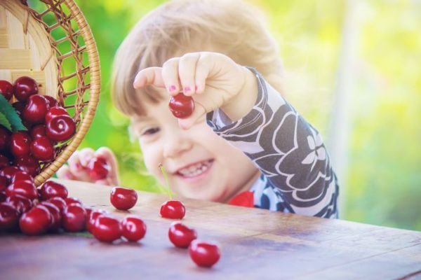 bambina fuori a raccogliere le ciliegie dal tavolo