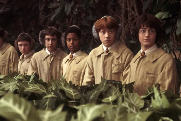 Os alunos de Hogwarts na aula de herbologia em Harry Potter e o Filósofo