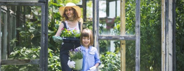 आपके बगीचे के लिए DIY ग्रीनहाउस विचार