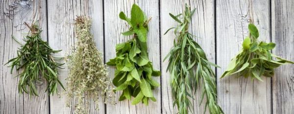 Remplissez votre garde-manger d'herbes séchées maison