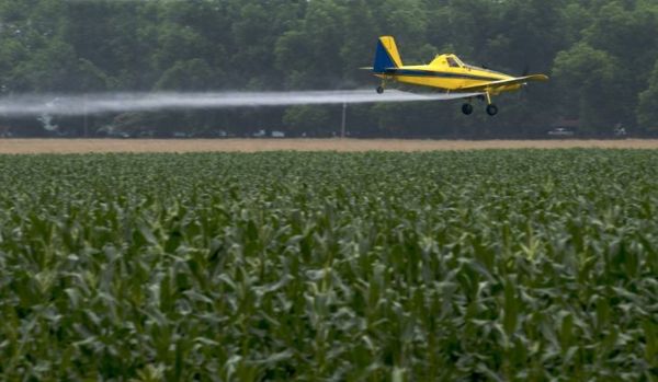 herbicide dommages plants de tomates avion