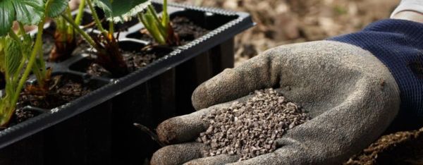 Beneficios de la harina de huesos: por qué la necesita su jardín
