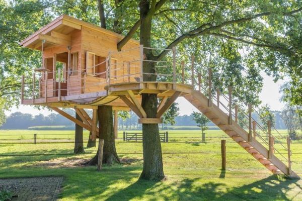 Una casa sull'albero con rinforzi su due alberi è particolarmente robusta.=