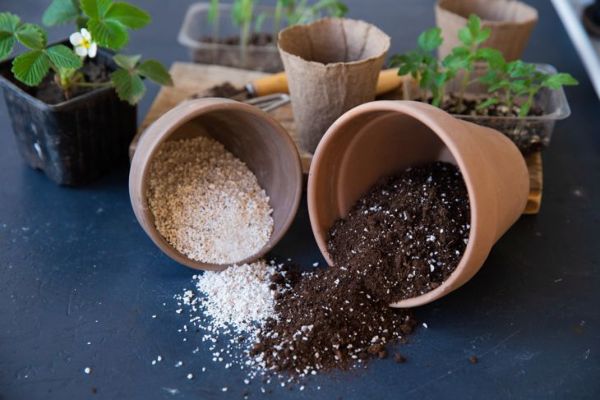terriccio e vermiculite su un tavolo nero