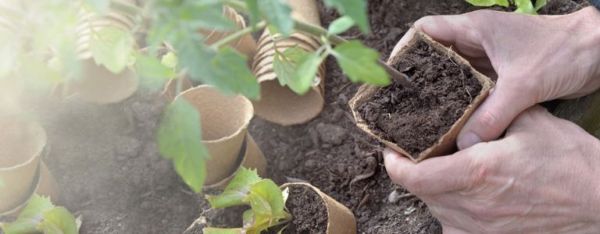 10 consigli per iniziare con il giardinaggio biologico