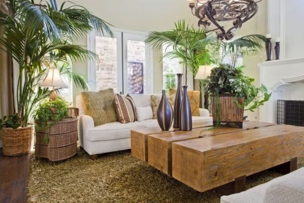 Si vous avez la main verte, donnez à votre salon une ambiance tropicale avec des plantes.