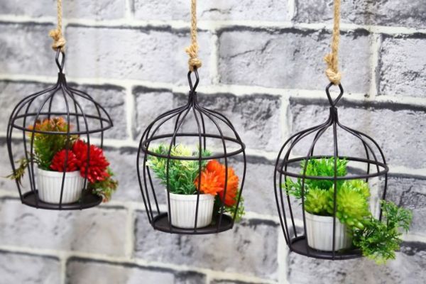 Accrocher des plantes dans une cage à oiseaux