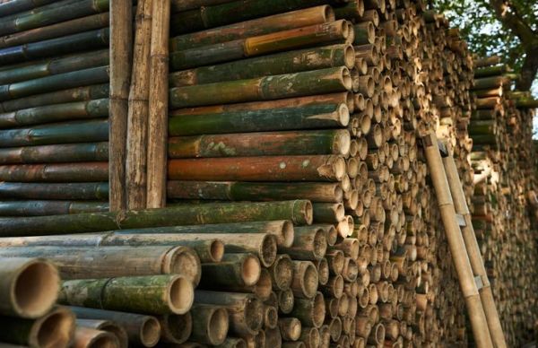 натрупани от събрани бамбукови стълбове за производство