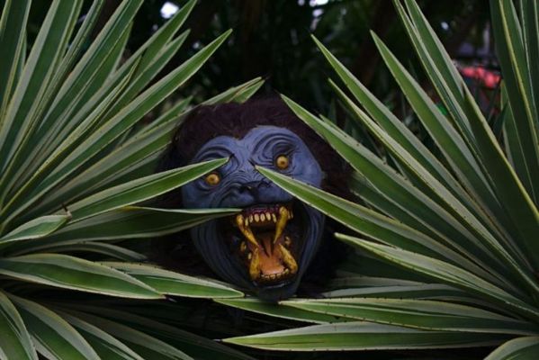 décoration d'halloween loup-garou