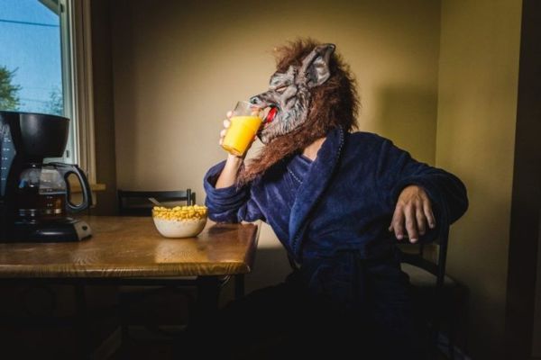 بالذئب يأكل الإفطار