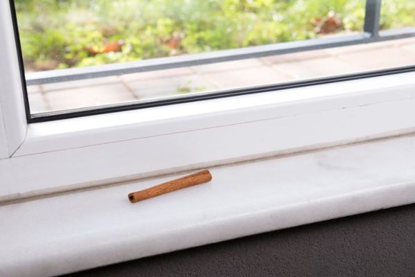 rama de canela en el alféizar de la ventana para disuadir a las hormigas
