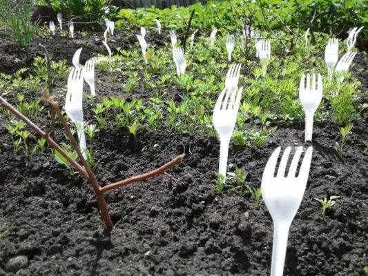 tenedores de plástico en el jardín