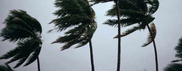 Miksi hurrikaaneja tapahtuu?