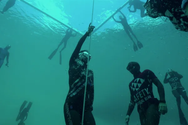 Un groupe de plongeurs sous l'eau